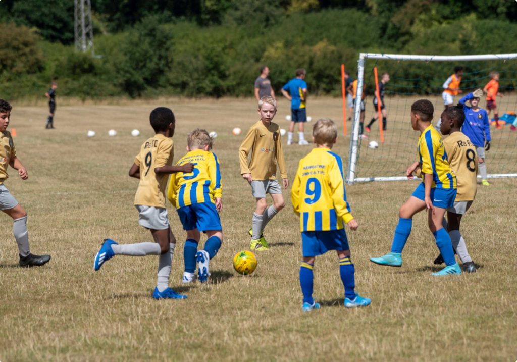 accountants for sports clubs